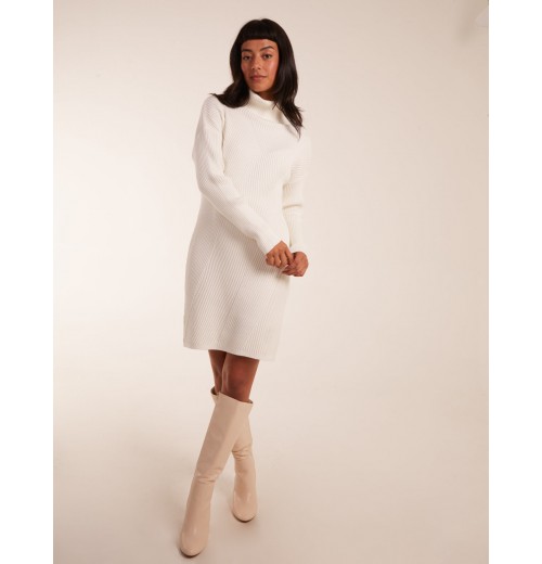 Rib Knitted Roll Neck Jumper Dress