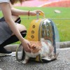 Cat Clear Backpack